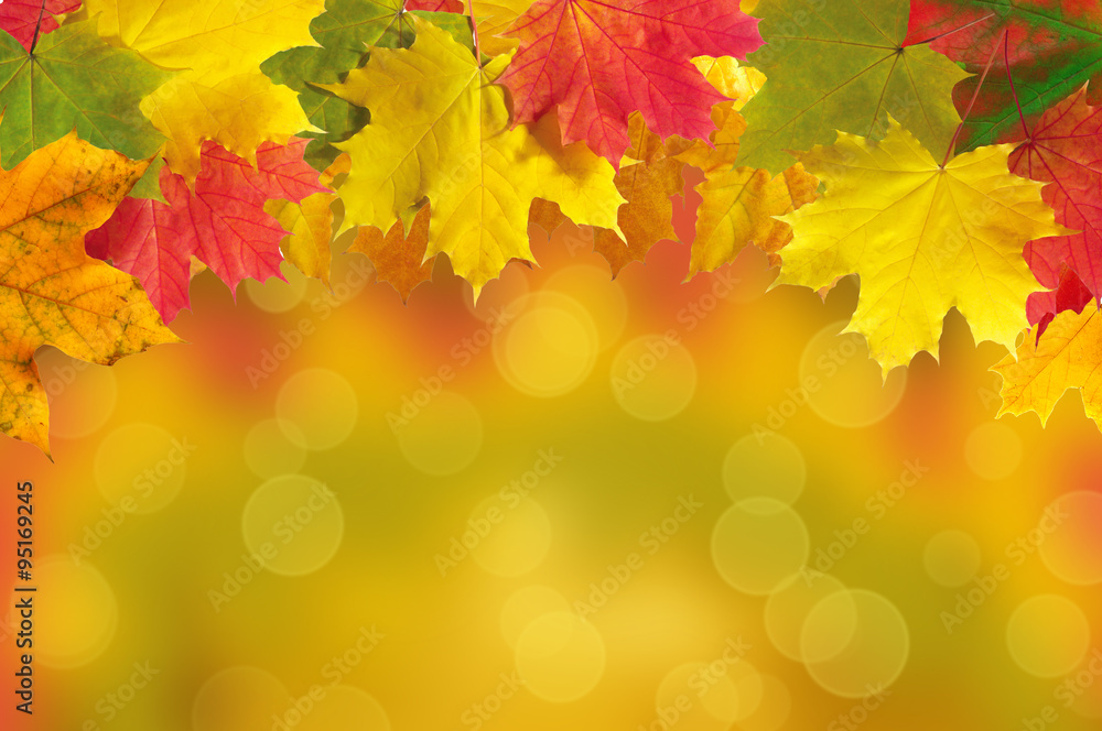 Autumn leaves frame over blurred nature background Autumn leaves frame over blurred nature background