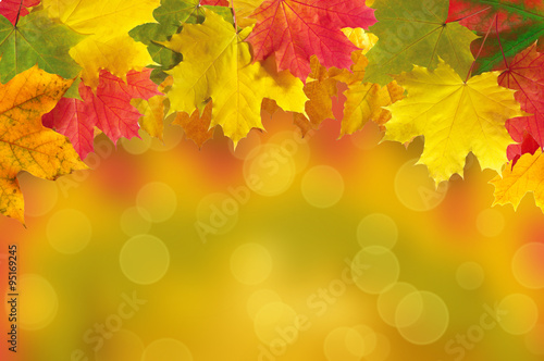 Autumn leaves frame over blurred nature background