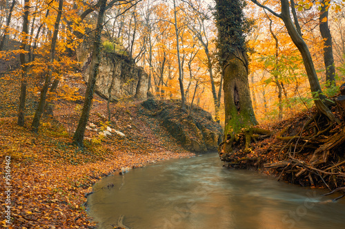 Flowing stream on colorful autumn forest