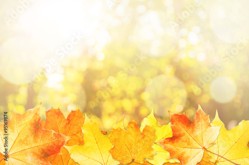 Autumn Background Framed with Leaves. Space for Text.