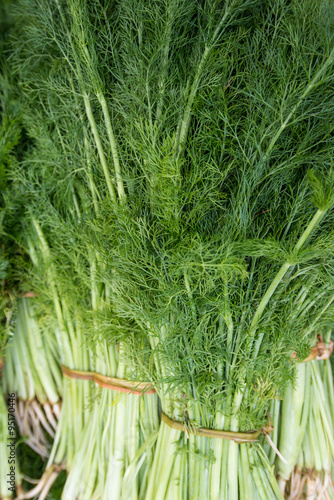 Fresh dill in the basket at the morning market in Shadian  Kunming  China