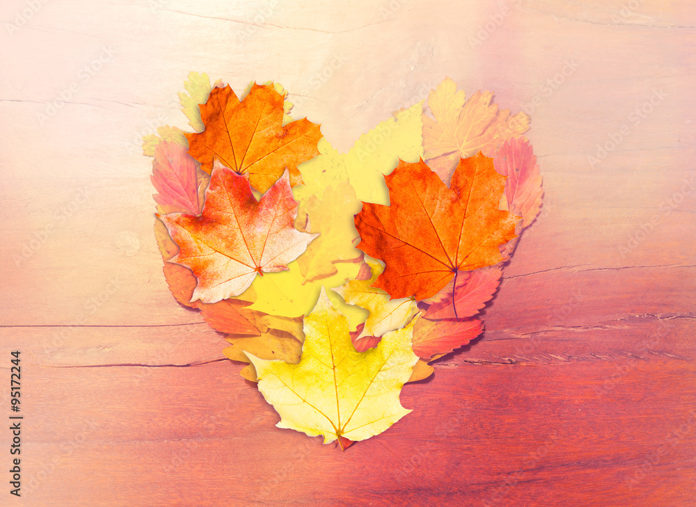 Obraz premium Heart Shaped Leaves in Colors of Fall