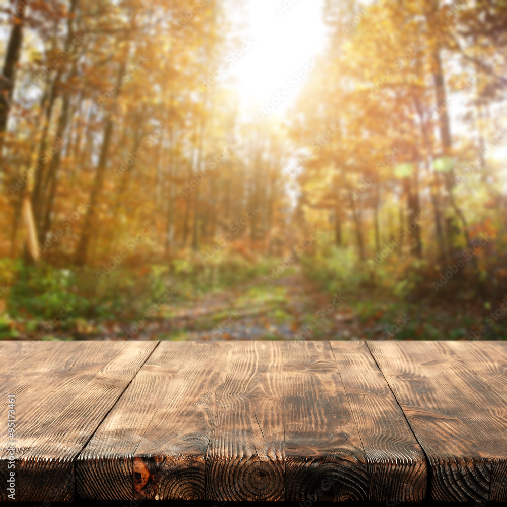 table space and forest table space and forest