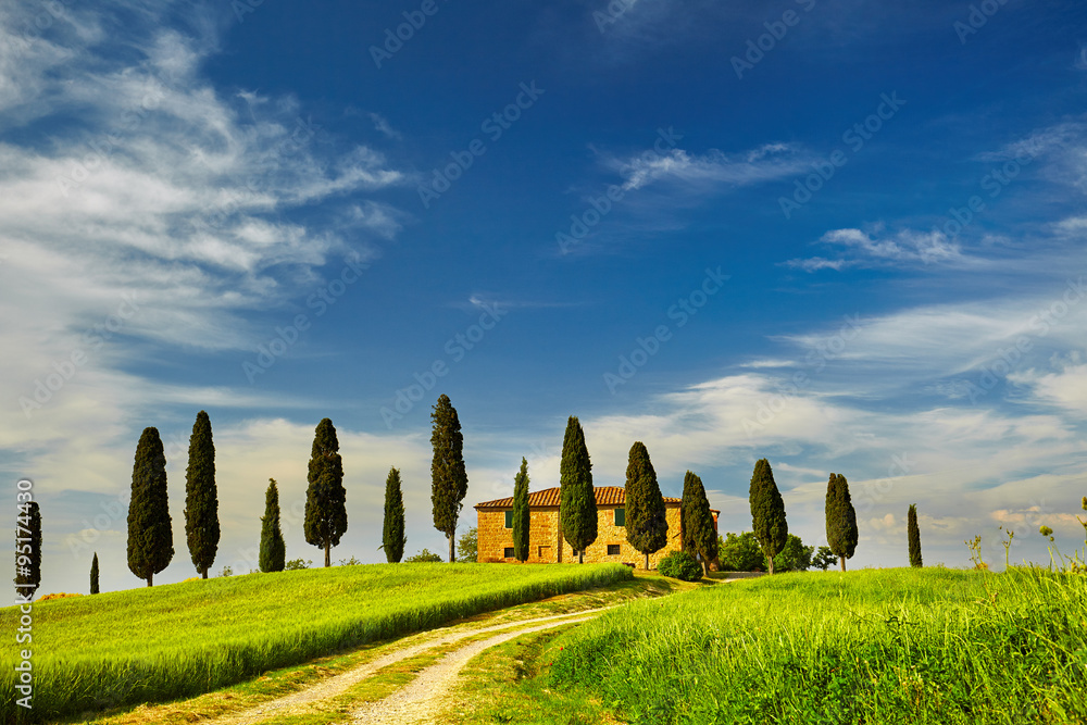 View of countryside in Tuscany  province on sunrise.  Italy