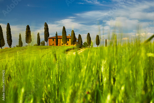 View of countryside in Tuscany  province on sunrise.  Italy