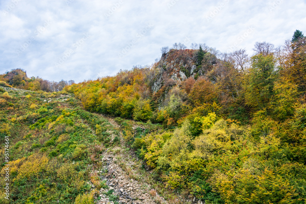 Mountain autumn landscape.