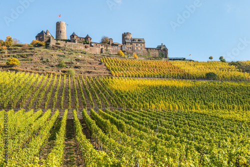 Mosel - Burg Thurant mit Weinberg