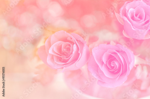 Wallpaper Mural Roses on the pink background Torontodigital.ca