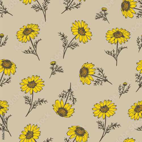 Fototapeta Naklejka Na Ścianę i Meble -  Yellow chamomile seamless background, wildflower vector pattern