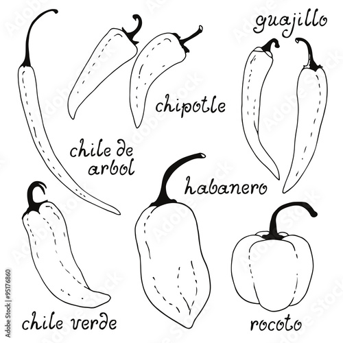 Chili peppers drawings collection, vector doodle set