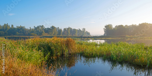 Shore of a lake at sunrise in autumn