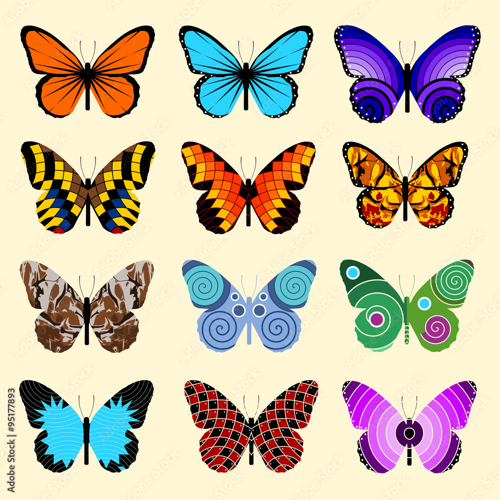 Set Of Butterflies, isolated vector illustration Set Of Butterflies, isolated vector illustration