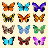 Set Of Butterflies, isolated vector illustration