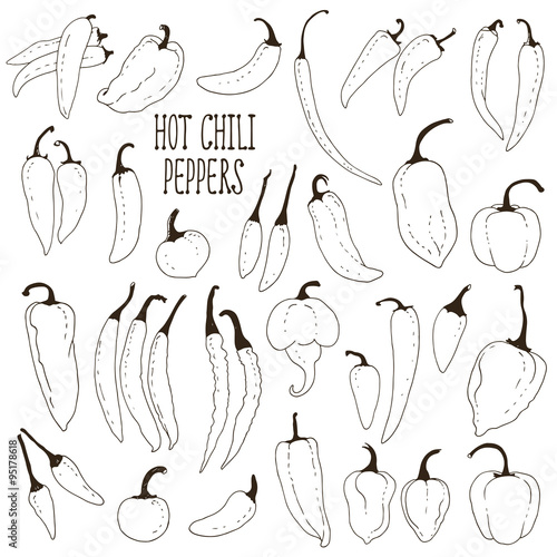 Set of hand drawn hot chili peppers