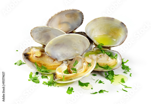 clams isolated photo