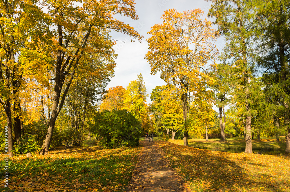 Autumn landscape in the Alexander Park, Tsarskoye Selo, Saint-Petersburg, Russia
.
Autumn landscape in the Alexander Park, Tsarskoye Selo, Saint-Petersburg, Russia
.
