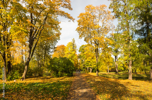 Autumn landscape in the Alexander Park, Tsarskoye Selo, Saint-Petersburg, Russia . 