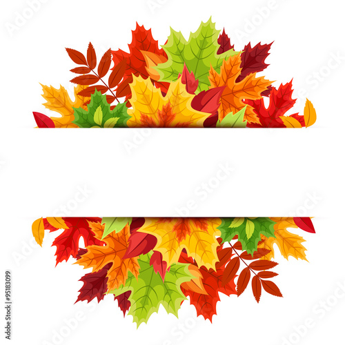 Banner with colorful autumn leaves. Vector illustration.