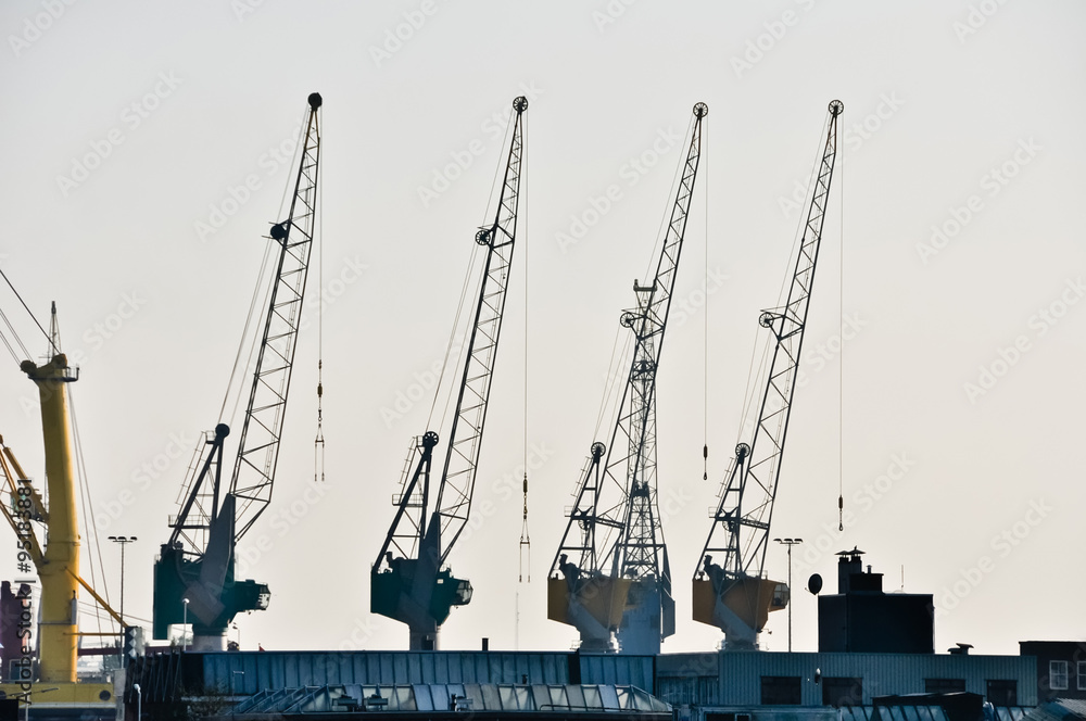 Fototapeta premium sea cargo port large cranes