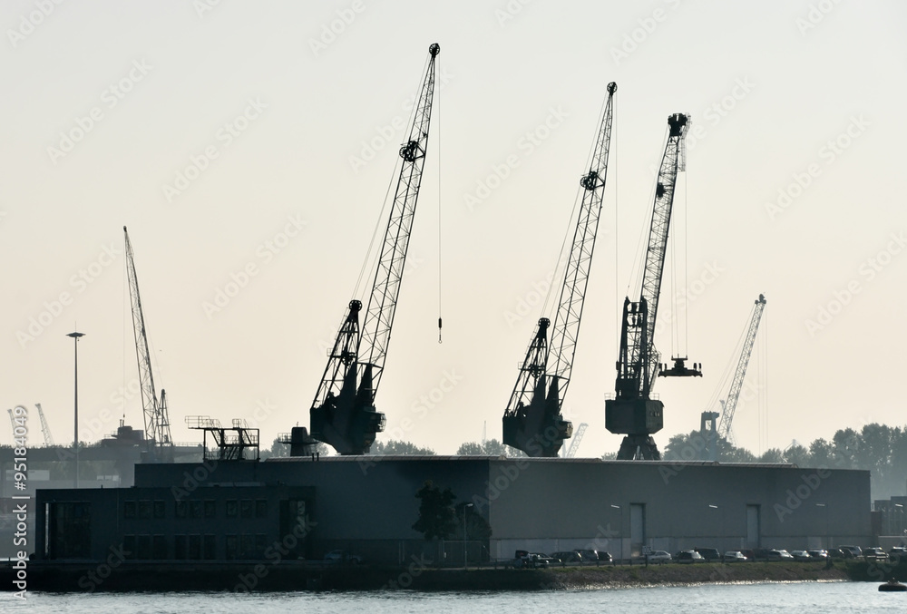 Fototapeta premium sea cargo port large cranes