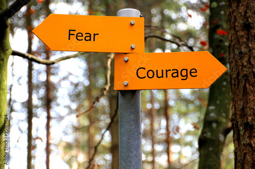 Fear, Courage, Beschilderung