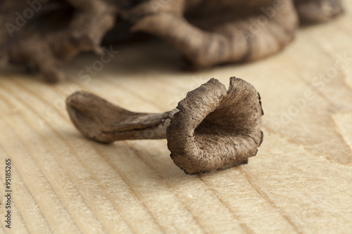  Fresh trompet des morts mushrooms photo