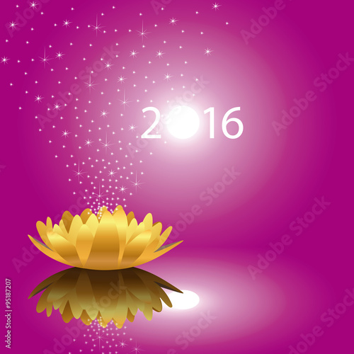 2016_Fleur-Etoiles