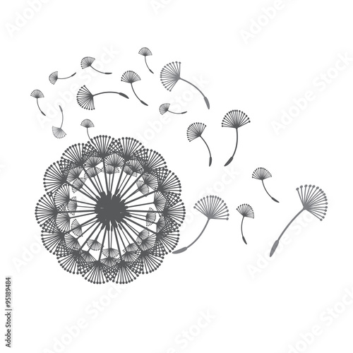 Fototapeta Naklejka Na Ścianę i Meble -  Illustration of concept dandelion. Vector
