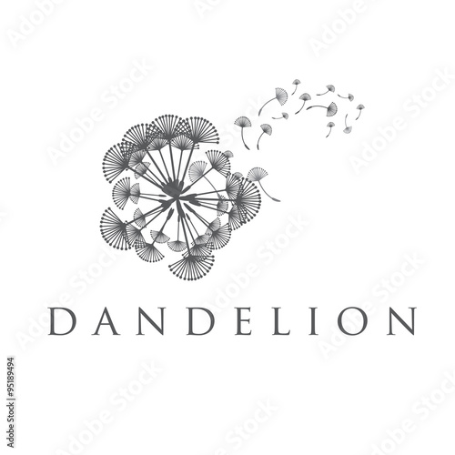 Fototapeta Naklejka Na Ścianę i Meble -  Illustration of concept dandelion. Vector