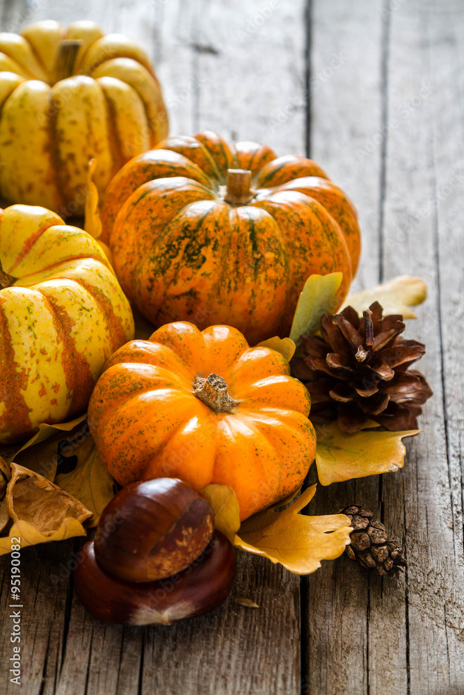 Thanksgiving decorations on rustic background Thanksgiving decorations on rustic background
