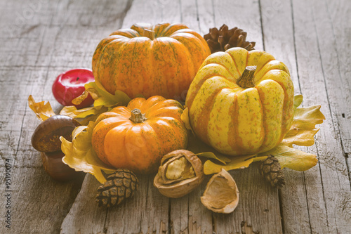 Thanksgiving decorations on rustic background