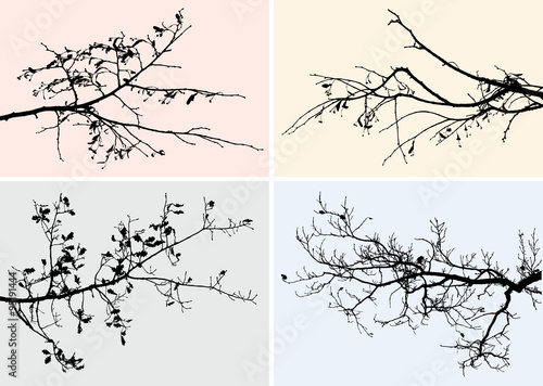 Canvas Print branches of trees in the fall