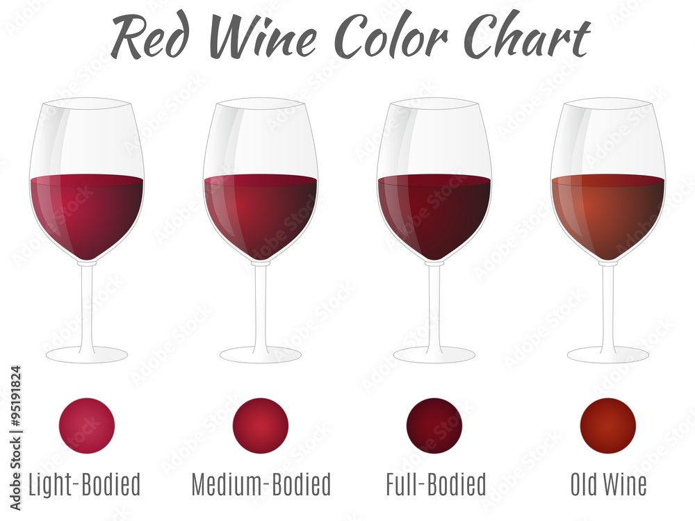 Red wine color chart. Hand drawn wine glasses. Vector concept., Stock  vector