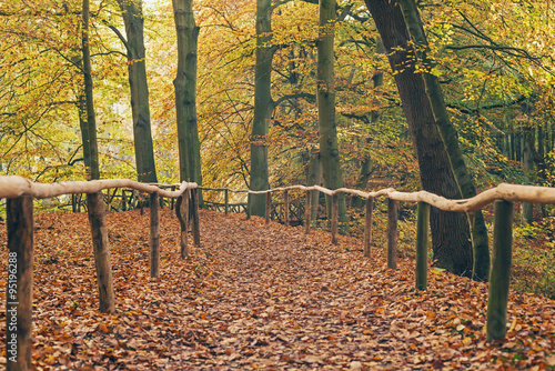 Trail with wooden fence in autumn forest. photo