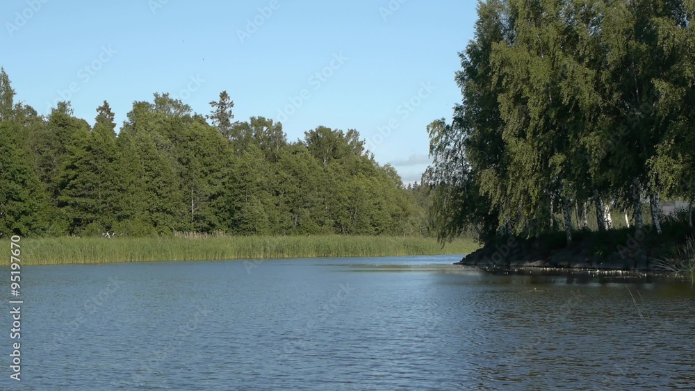 Bay with forest in background and trees on one side Bay with forest in background and trees on one side