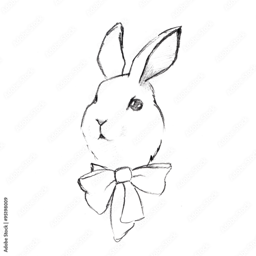 Obraz premium Rabbit pencil sketch 1