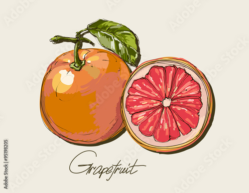 Vector fresh ripe grapefruit with leaves.