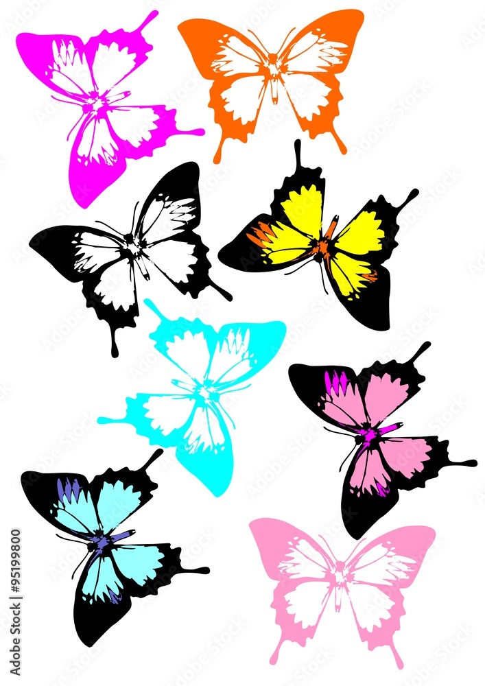A collection of colorful butterflies. More Swallowtails butterflies in variety of colors.
