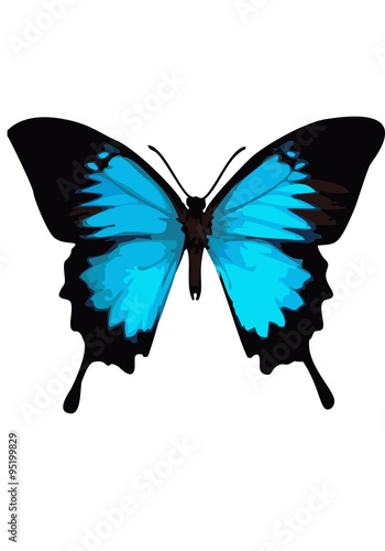 Swallowtail butterfly, butterfly blue on a white background.