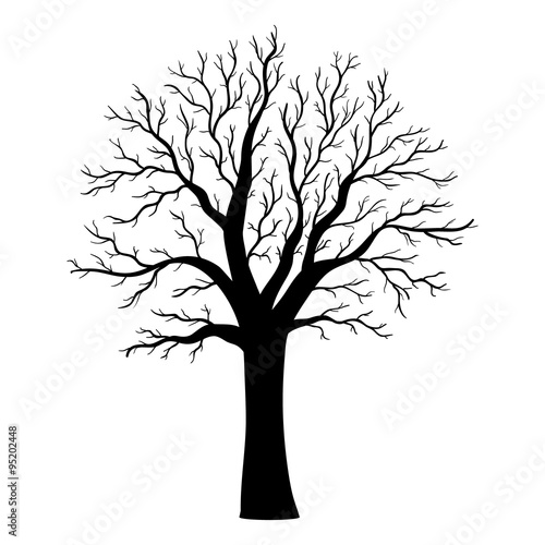 Tree silhouette