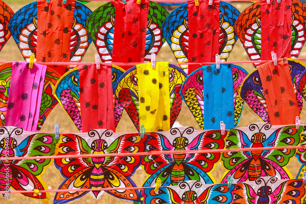 snake and butterfly colorful kite