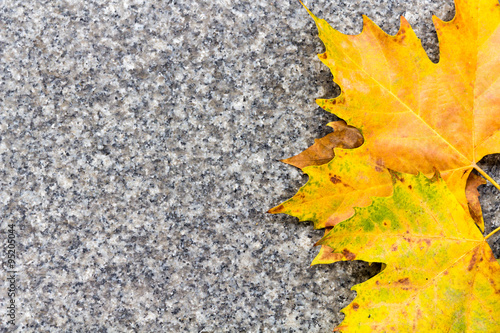 Herbstlaub Hintergrund Fläche