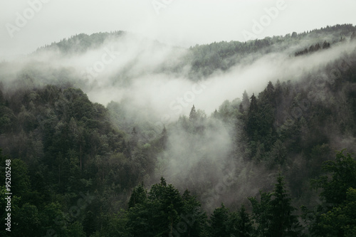 Nebel Regen Tage