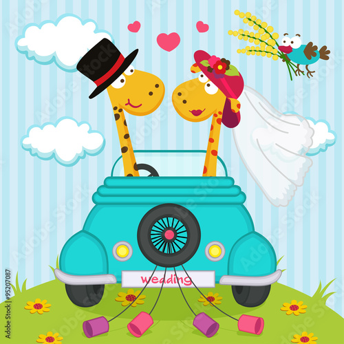 wedding with giraffes - vector illustration, eps