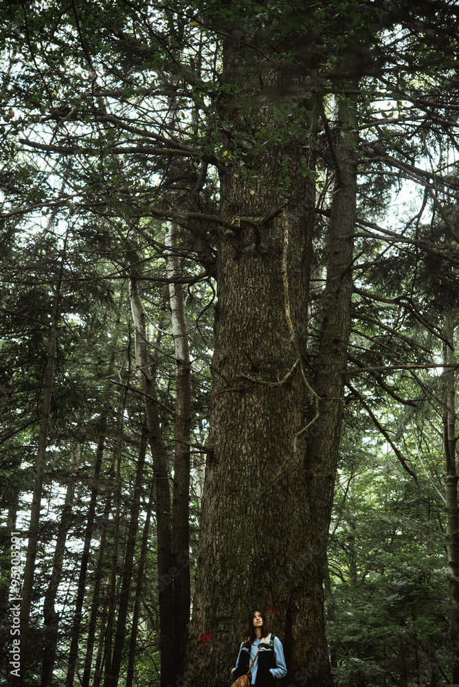 Fototapeta premium beautiful happy cute stylish girl near a big tree in the mountai