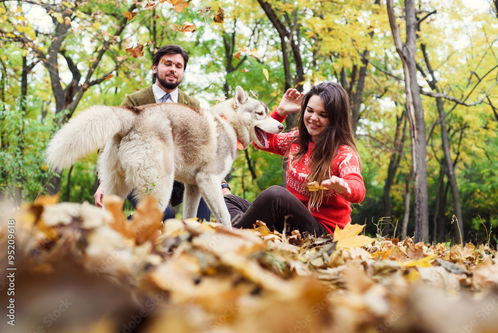 young happy couple in autumn park with husky dog young happy couple in autumn park with husky dog