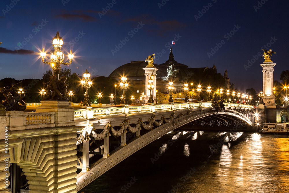 Fototapeta premium Bridge of the Alexandre III in Paris