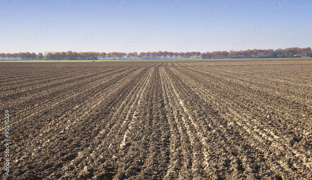 View at agricultural field in The Netherlands View at agricultural field in The Netherlands
