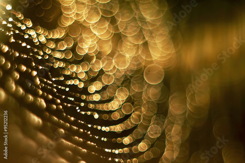 Abstract dewdrops on spider web