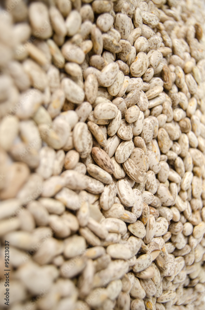Pinto Beans detail Pinto Beans detail